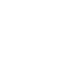 lionart